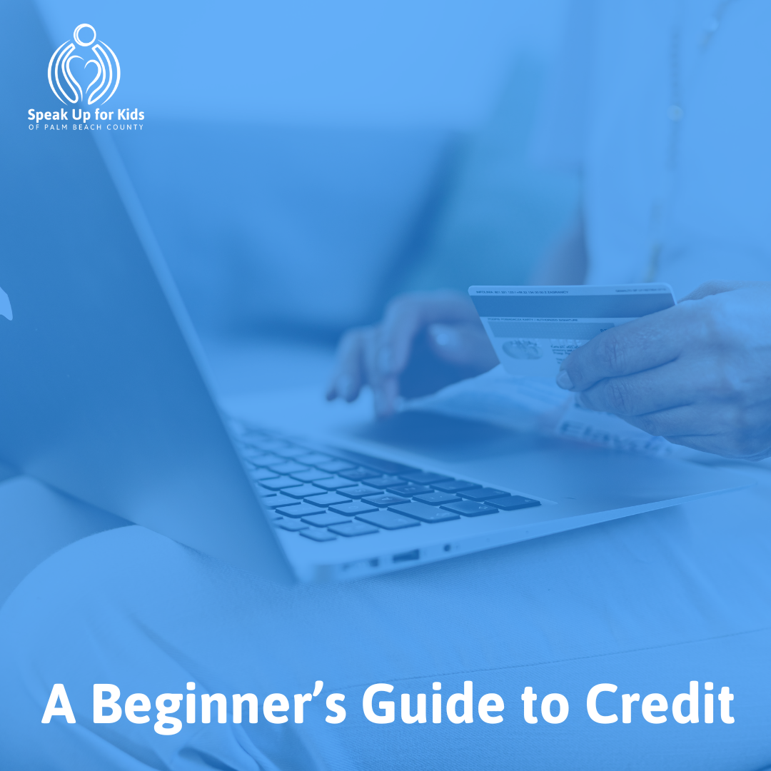 A Beginner’s Guide to Credit