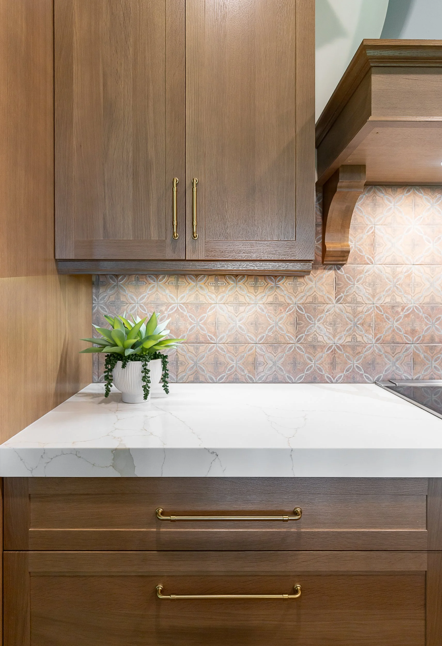 Close-up of a kitchen countertop with a white marble surface, a wooden cabinet above, and a potted green plant on the left side.