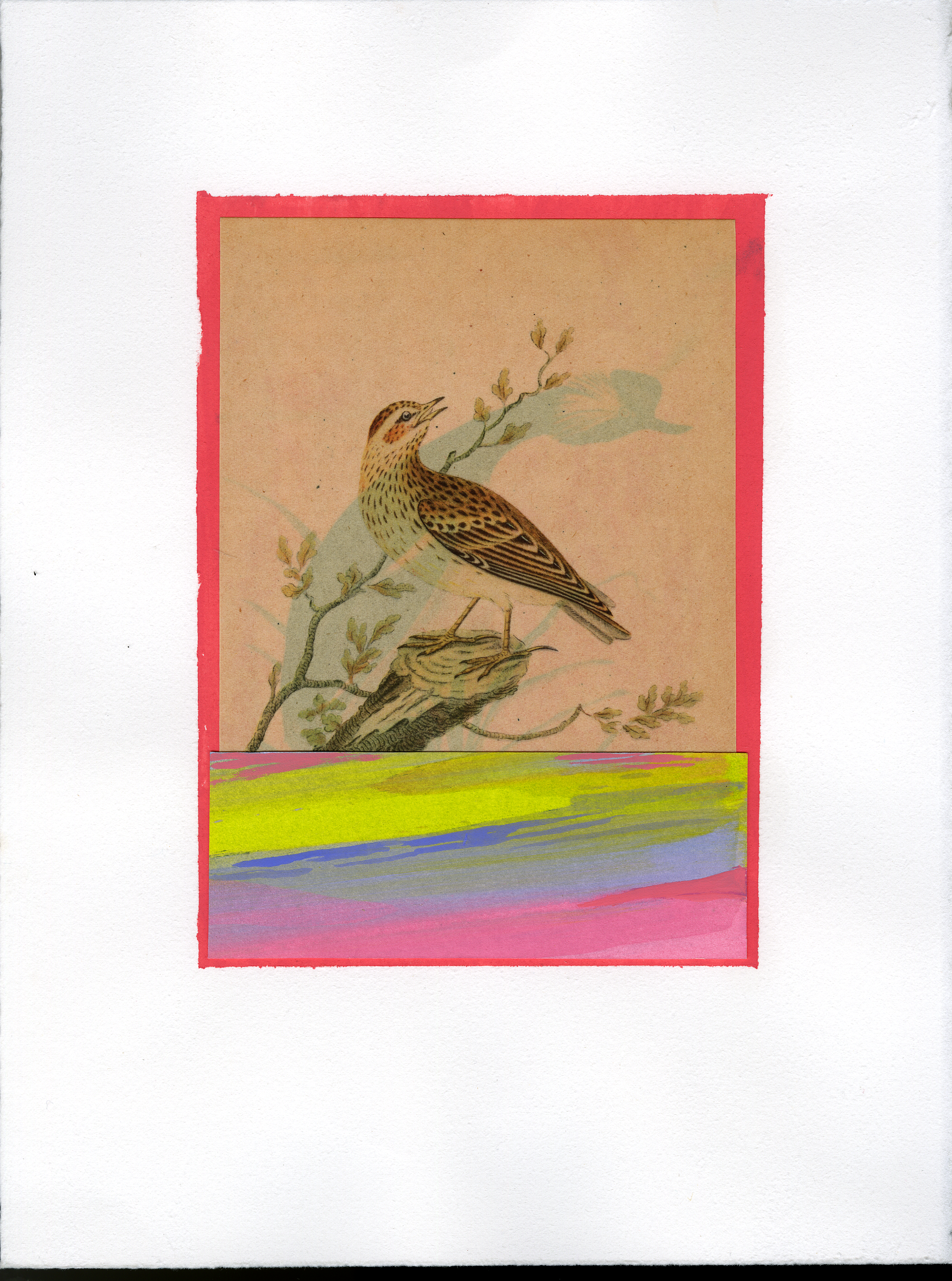 Birb4.png