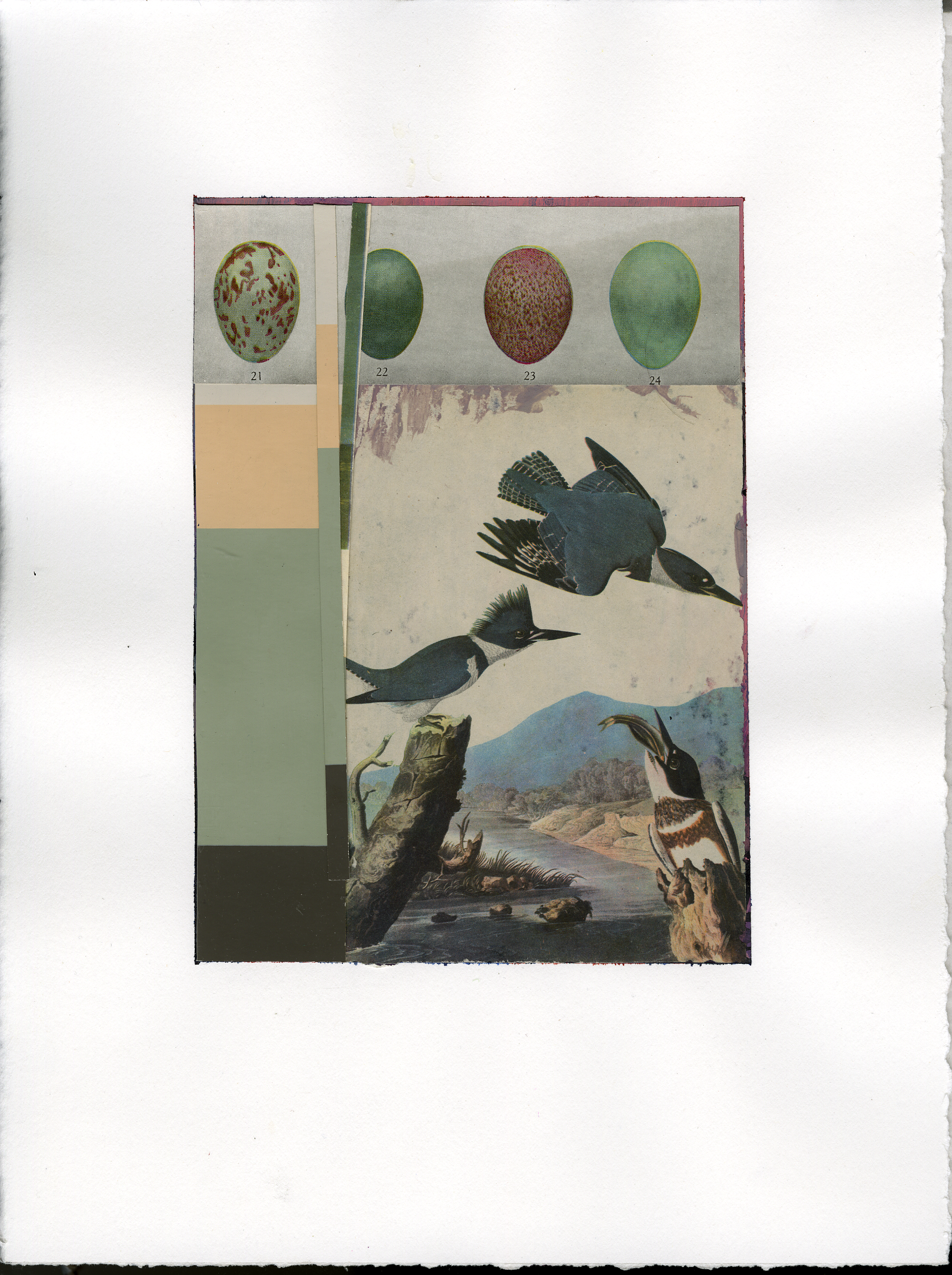 collage5.png