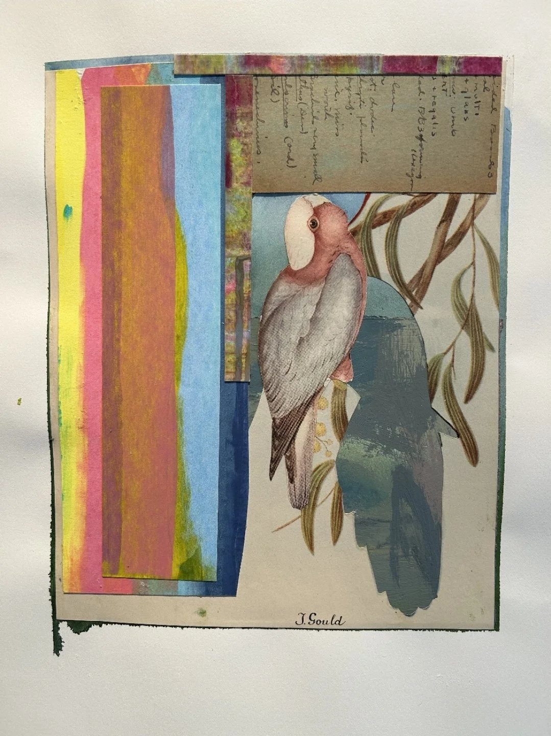 Parrot Display