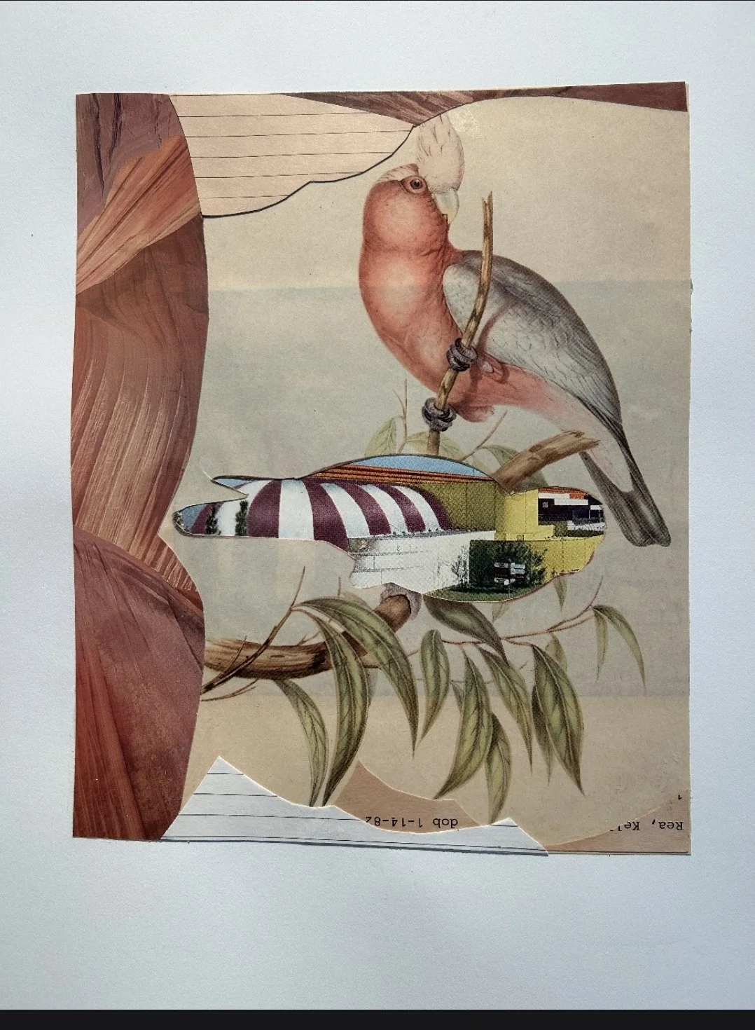 Bird Sideshow