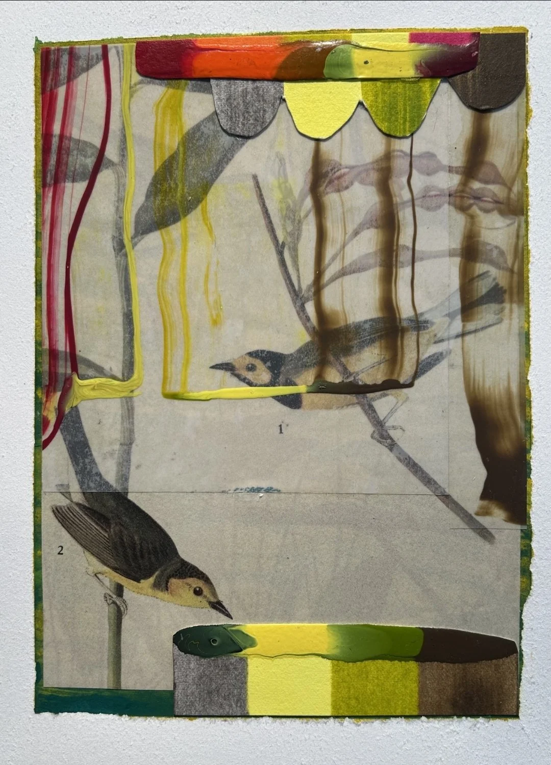 Birds & Bunting