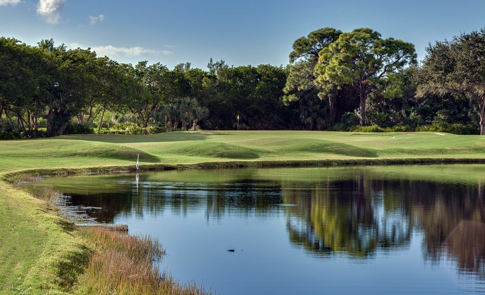 The Colony Golf & Country Club The Colony Golf & Country Club
