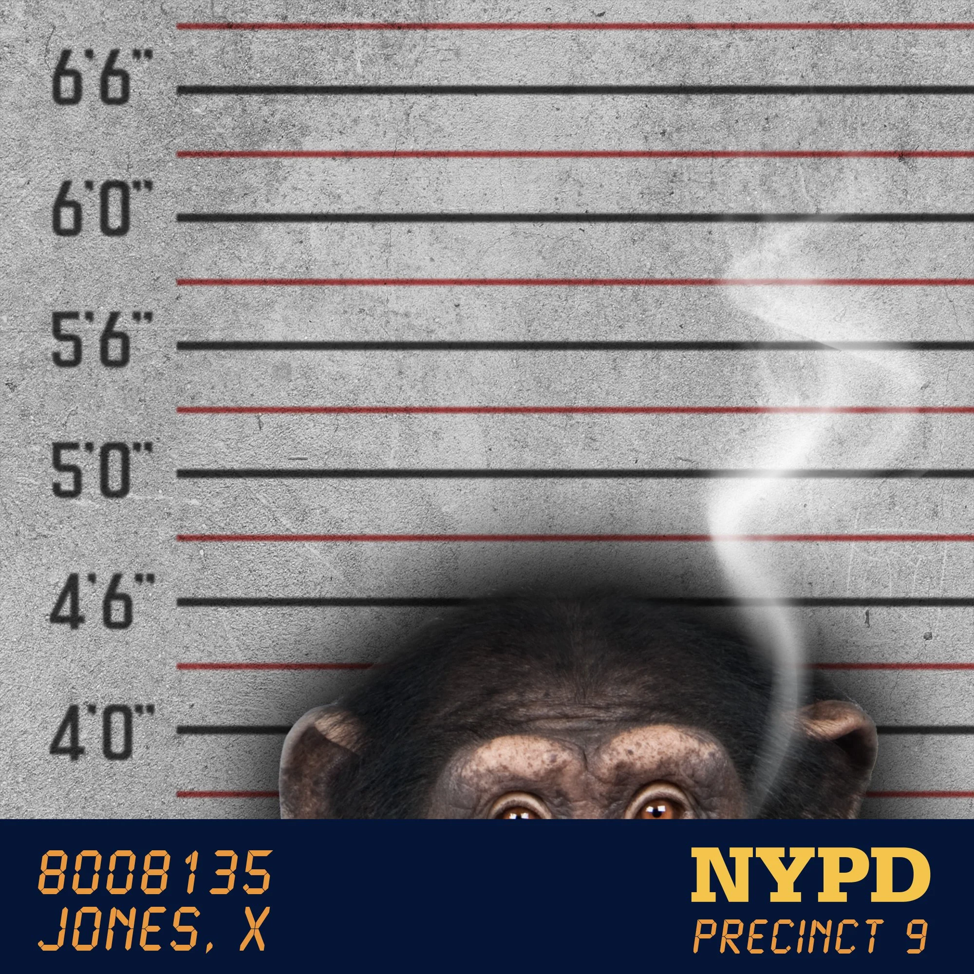    A regrettable evening.   