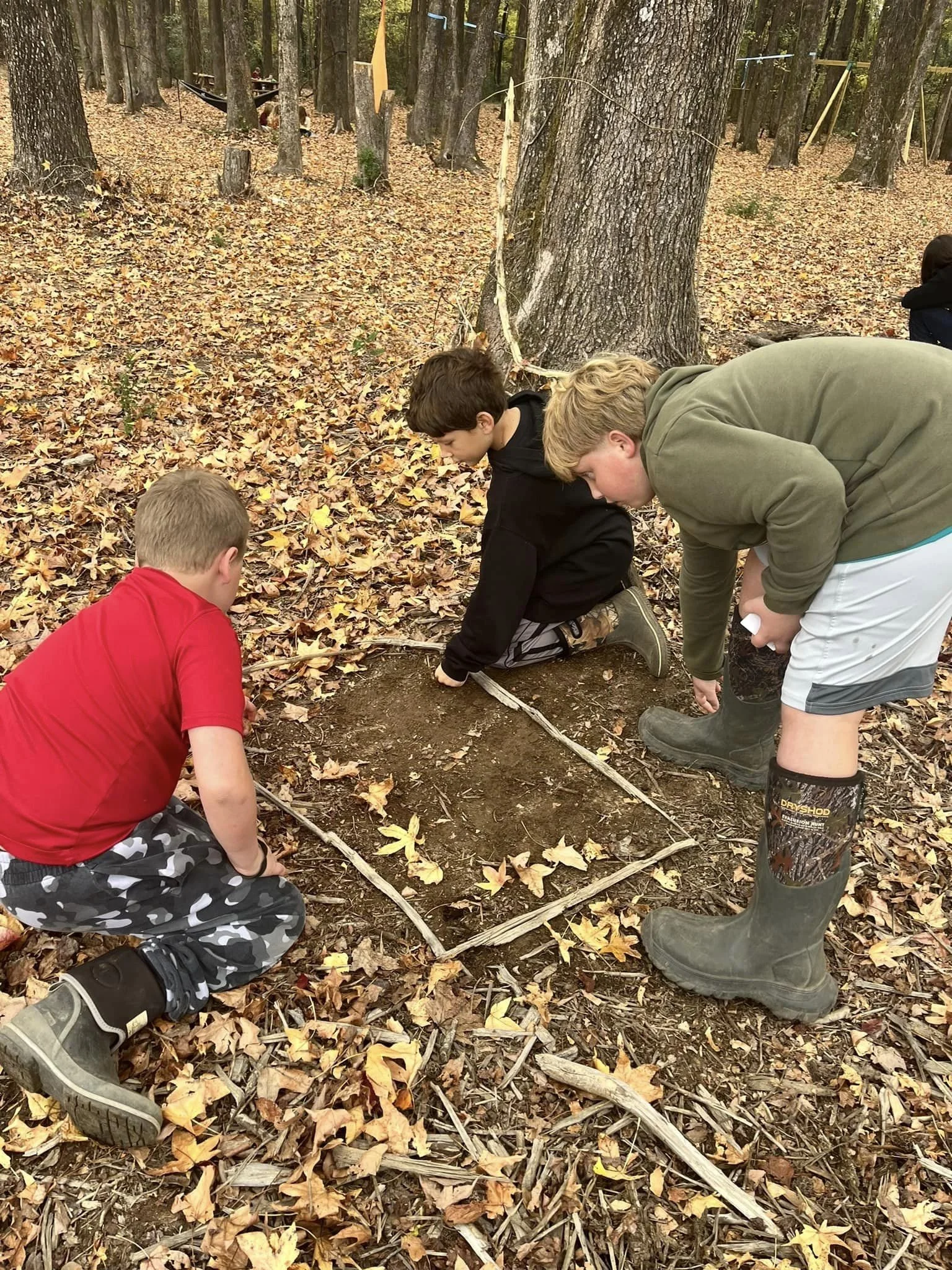 Newsletter 11/17/23