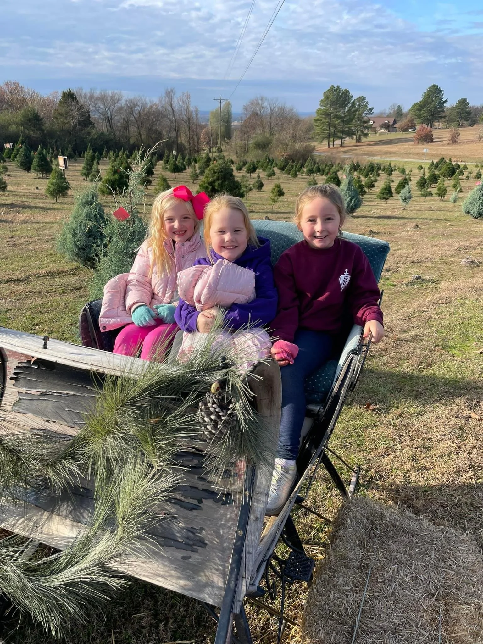Newsletter 12/7/24