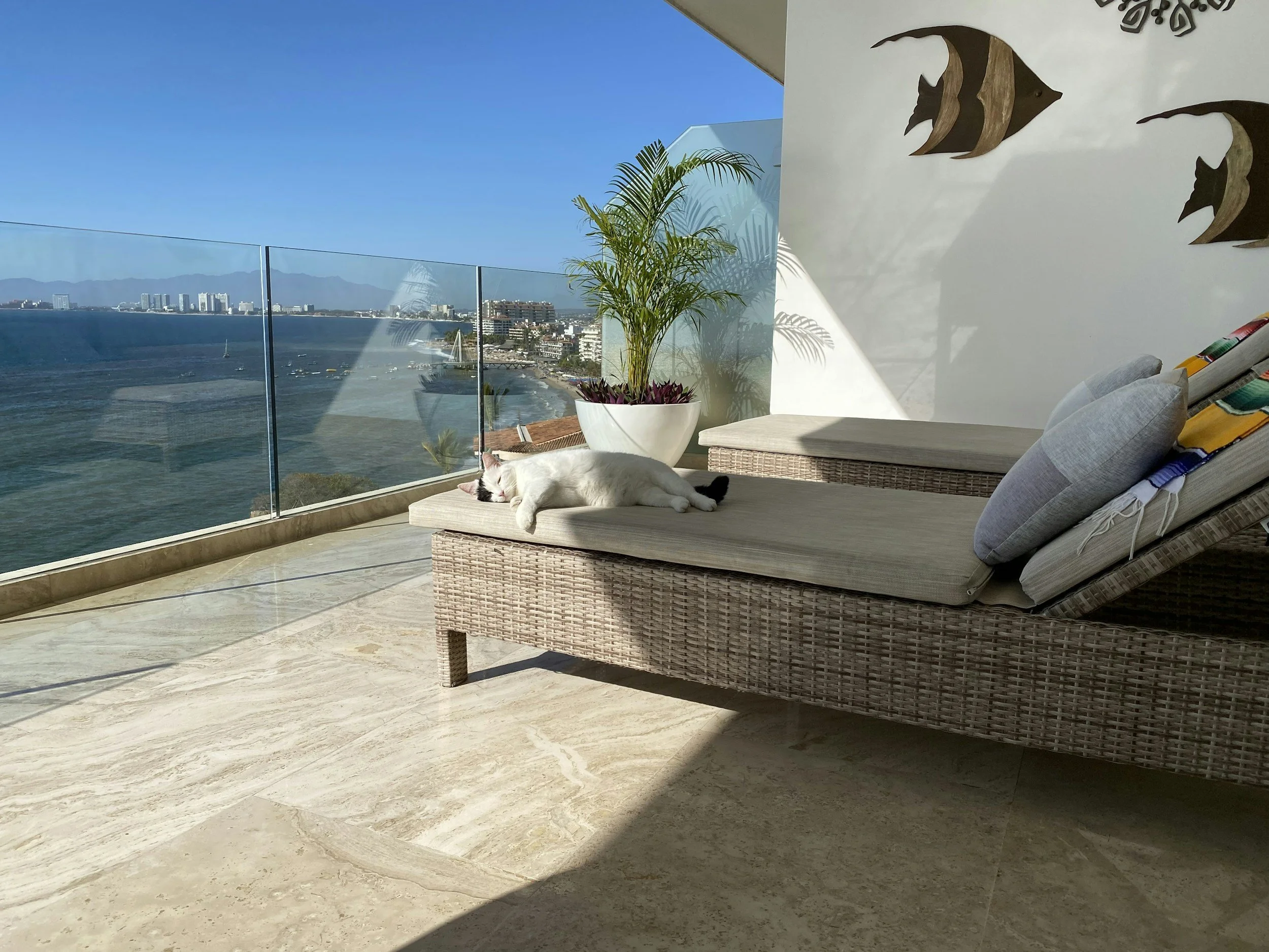 Close view of real estate contract and market analysis documents during property due diligence in Banderas Bay, Puerto Vallarta