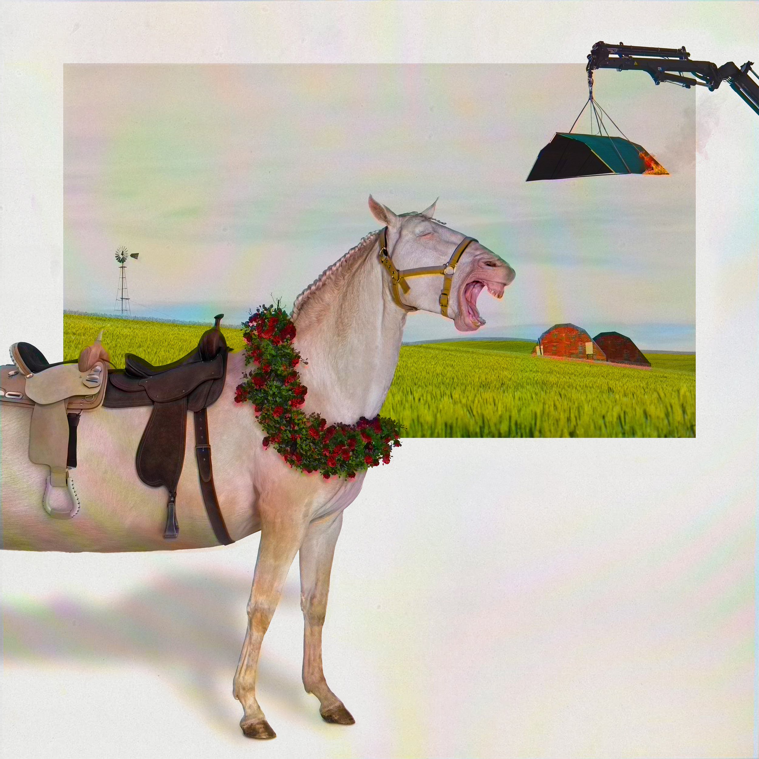 Get Off Your High Horse and Raise the Roof