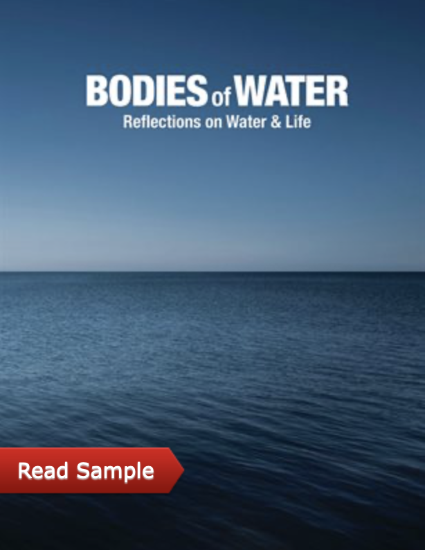 Screenshot 2025-08-17 at 7.17.12 PM.png