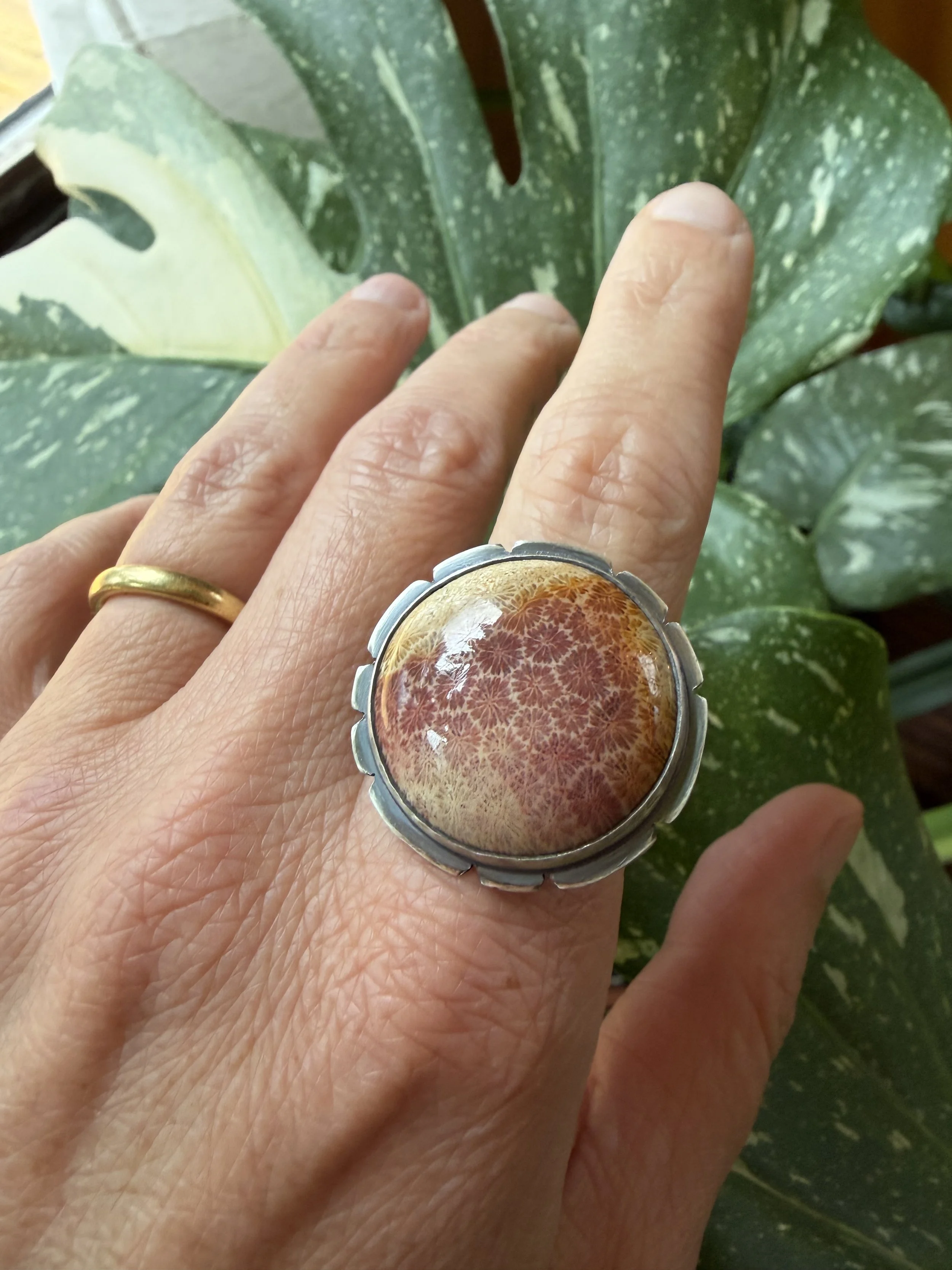 Fossilized Coral Ring