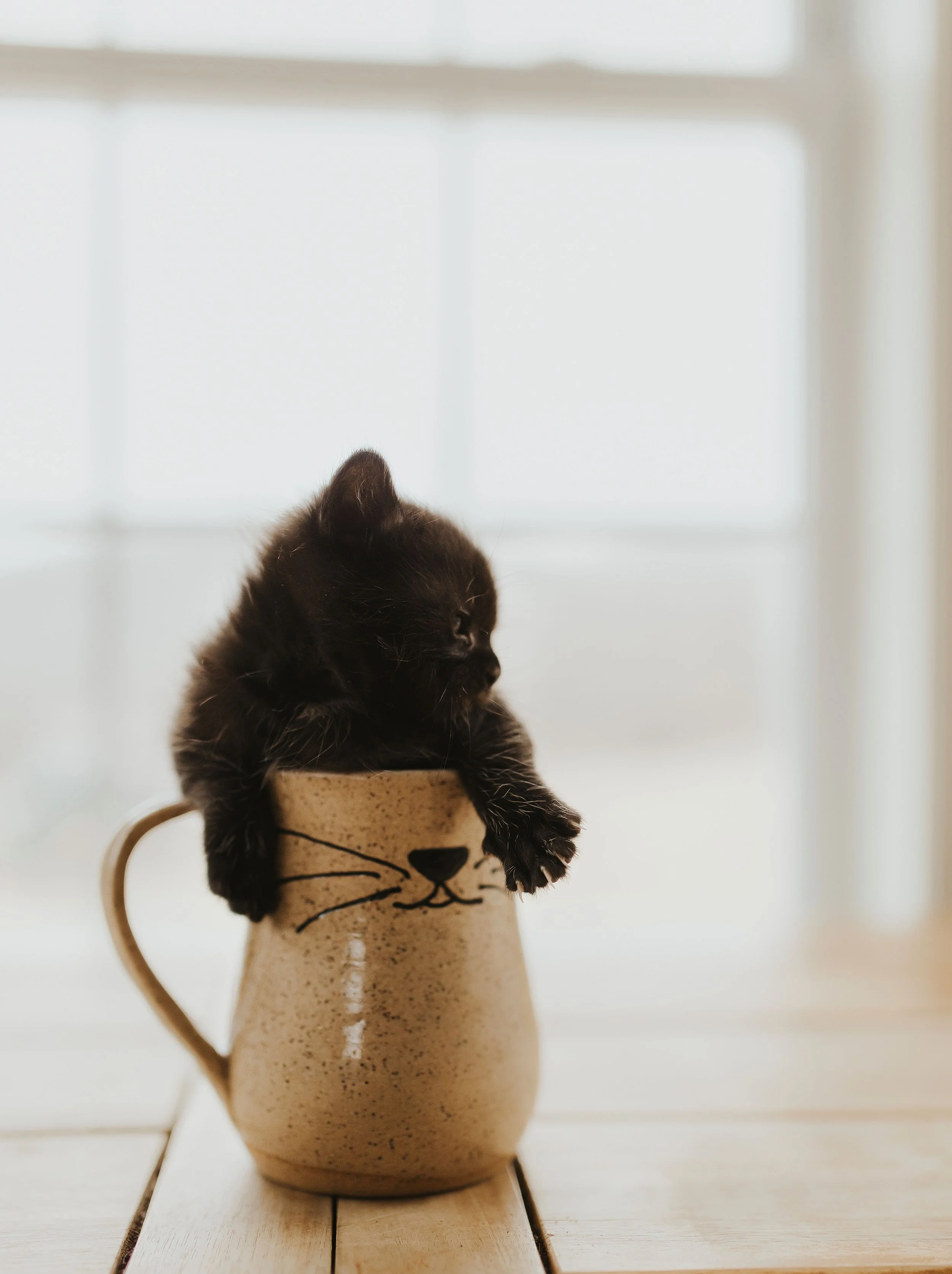 Sandwich Summer Craft Festival