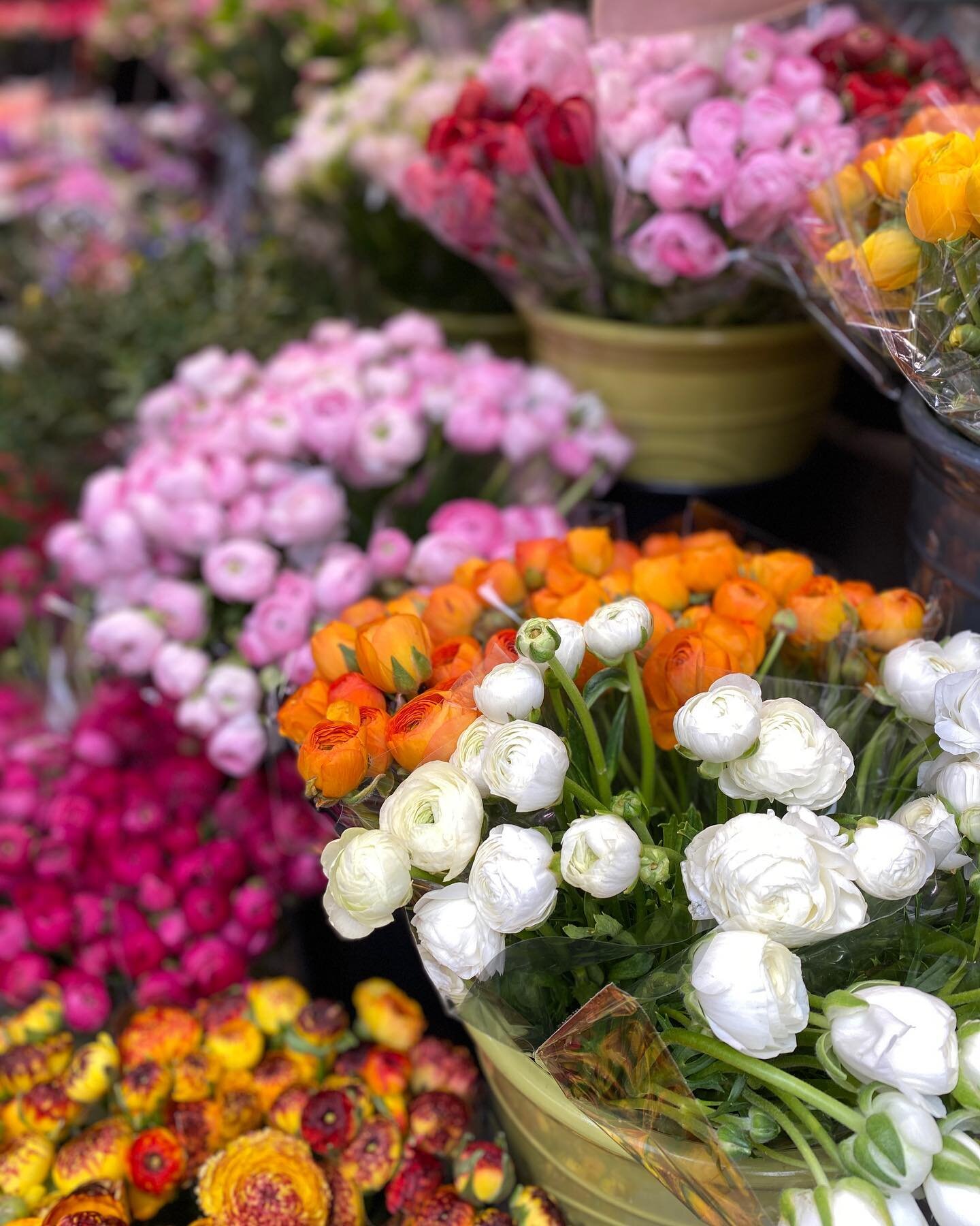 I can&rsquo;t get enough of all the flowers in France. So, so stunning. These ones were in Paris last week.