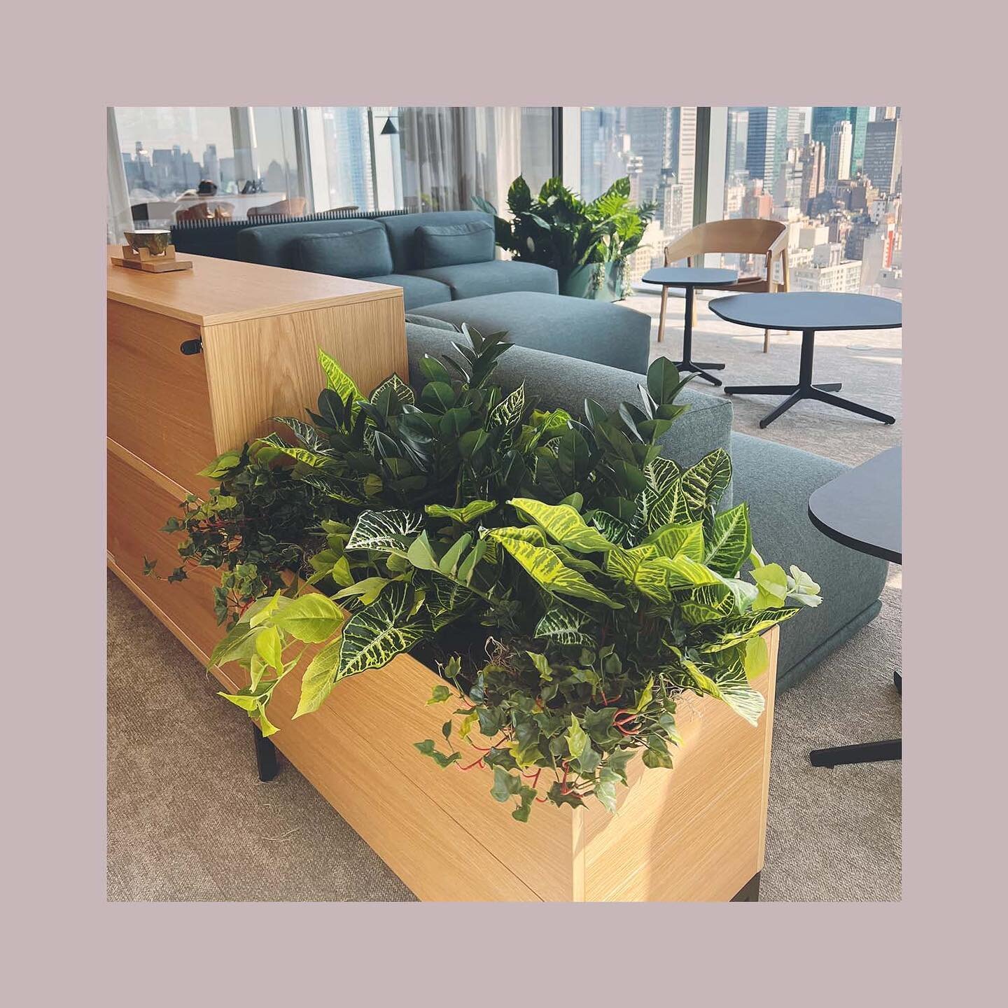 Lush faux planter boxes for an office project. A no-maintenance green solution ✨