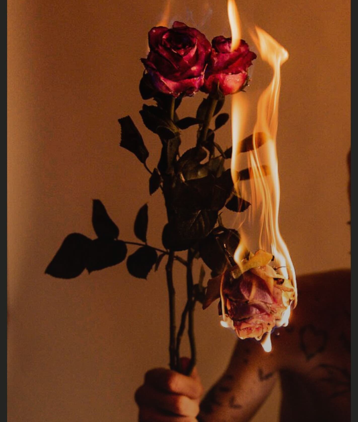 Sometimes the bravest move isn&rsquo;t sticking it out, it&rsquo;s striking the match. 

Join us January 22 for BURN IT DOWN: Stories of Walking Away, featuring six extraordinary storytellers sharing the moments they finally chose themselves.

🎟 Tic