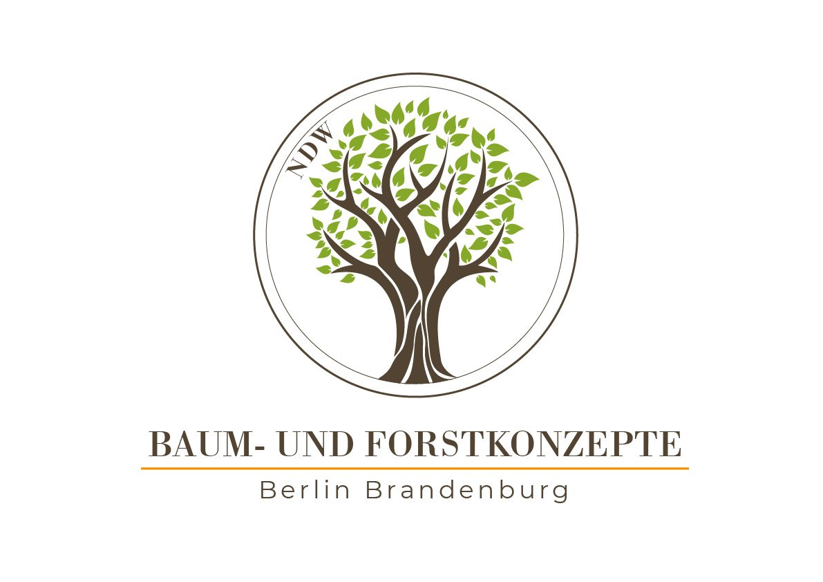 Logo_Baum-und_Forstkonzepte.jpg