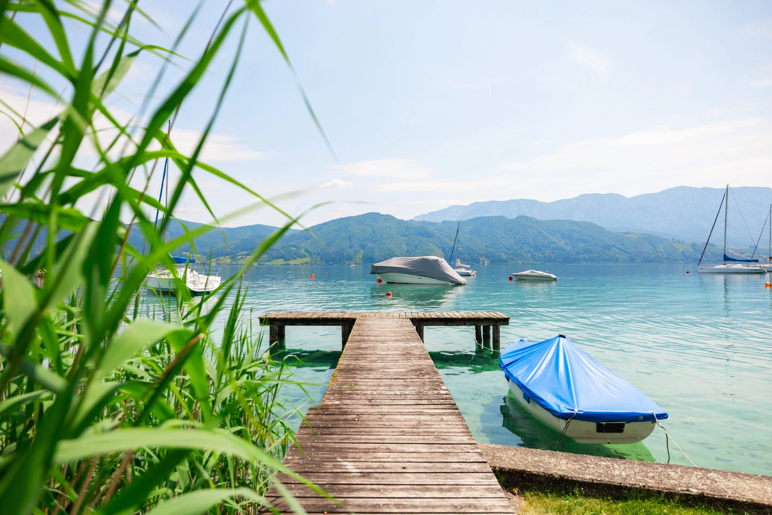 Aichinger-4582 (1).jpg