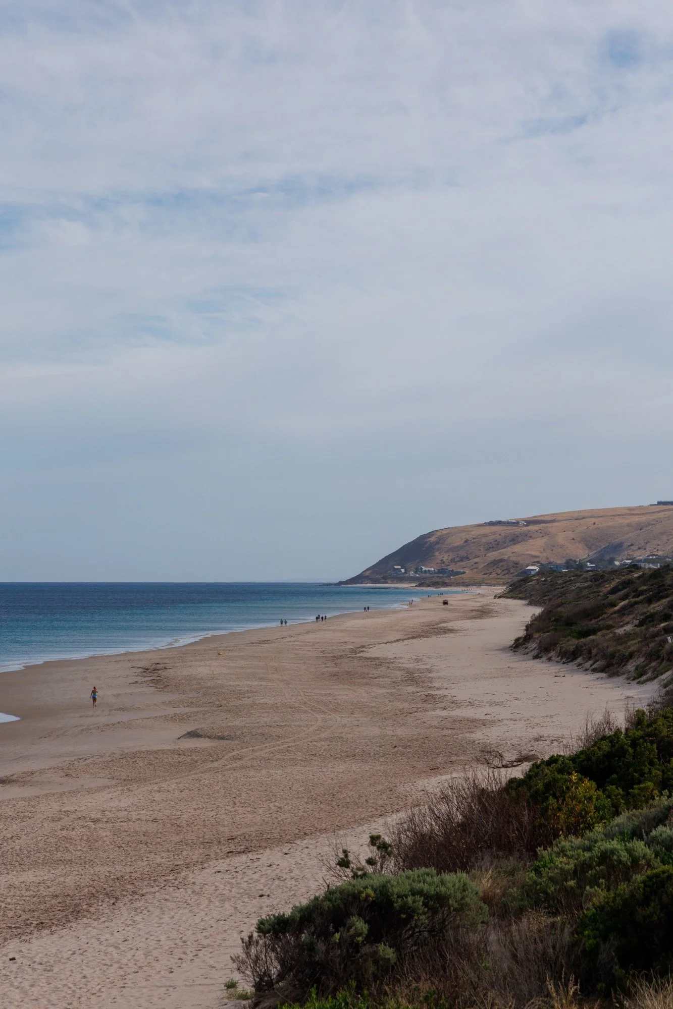 Carri to Club 2025-7.jpg