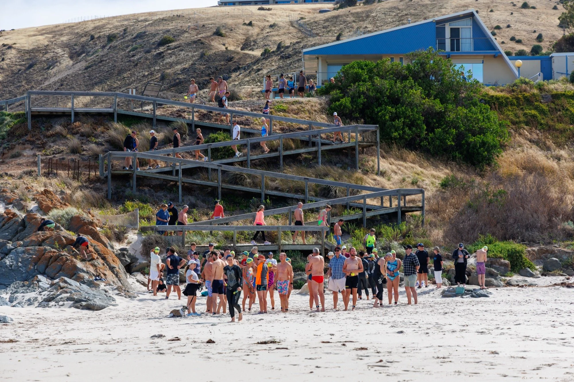 Carri to Club 2025-29.jpg