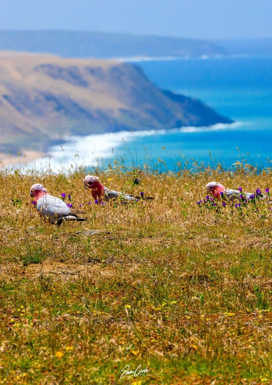 S&S-Ben Lowe-17 Large.jpeg