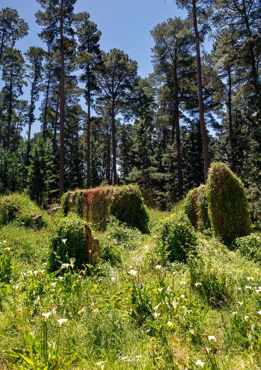 S&S-Ben Lowe-25 Large.jpeg