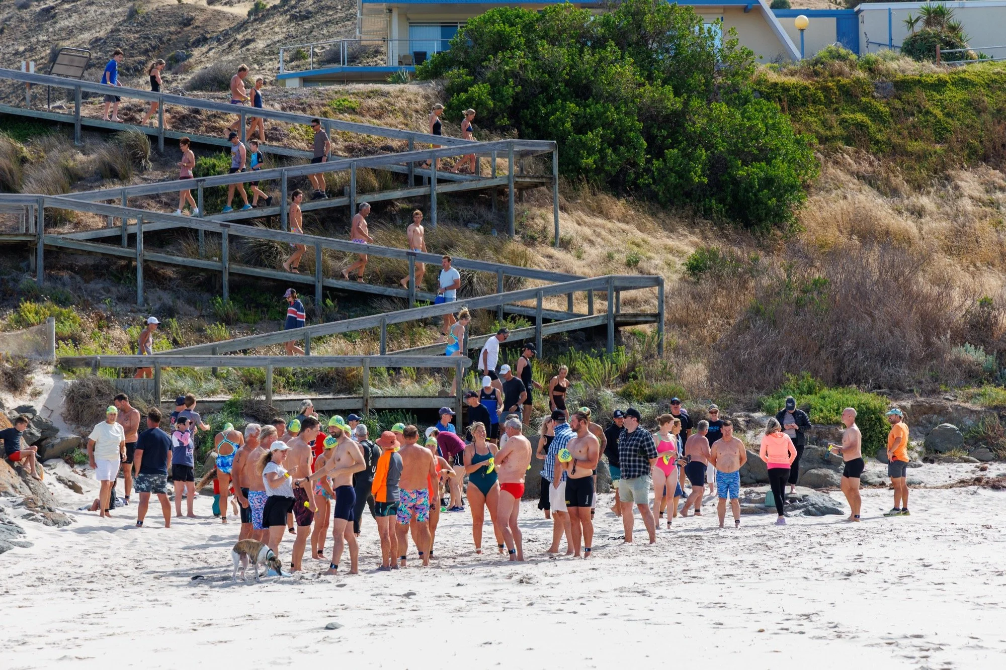 Carri to Club 2025-30.jpg