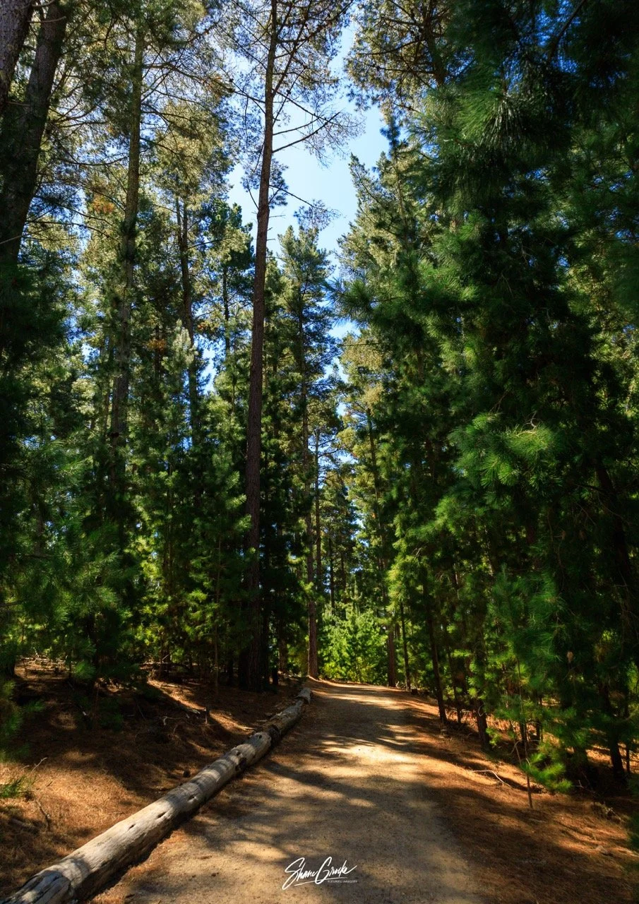 S&S-Ben Lowe-10 Large.jpeg