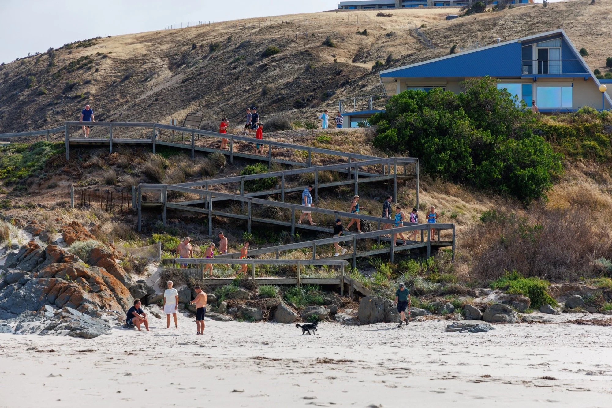 Carri to Club 2025-26.jpg