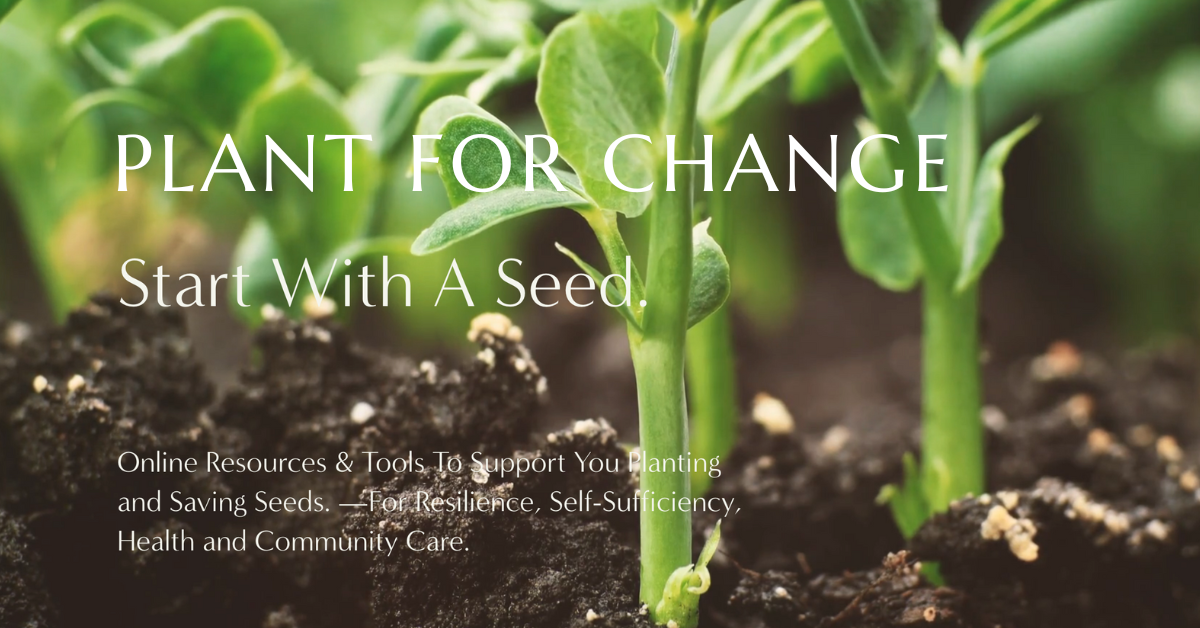 Global Seed Directory  PLANT FOR CHANGE
