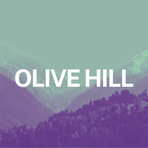 OLIVE HILL — Thirteen