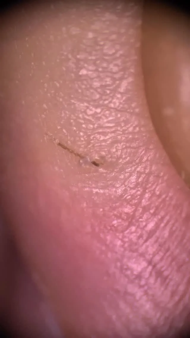 As much as I love my microscope for engraving, I love it even more for digging slivers out. This is a tiny thorn from pulling weeds a few days ago.
Do y’all use your scopes for other things or to look at cool stuff up close?