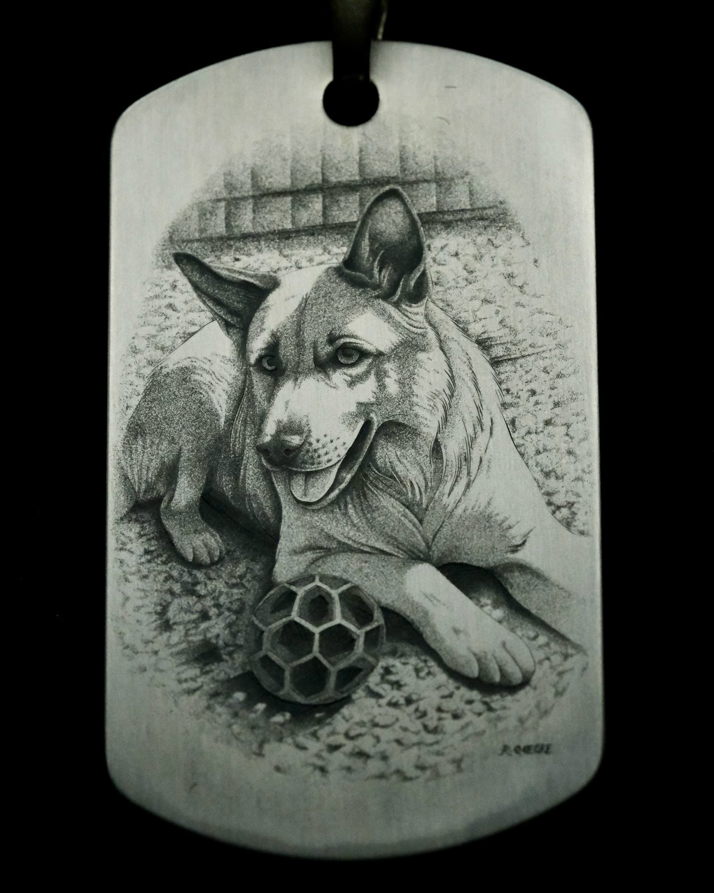 Sorry for the repost, I realized the photo was a little under exposed. I thought it was the brightness on my phone. Retook the photo. 

I think my love of animals is starting to show. What can I say, I really enjoy doing pet portraits. 

I had the ho