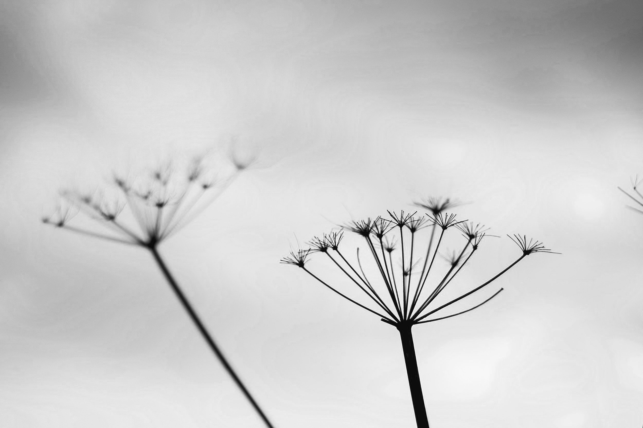 unsplash-image-_rhGzcoRq30.jpg