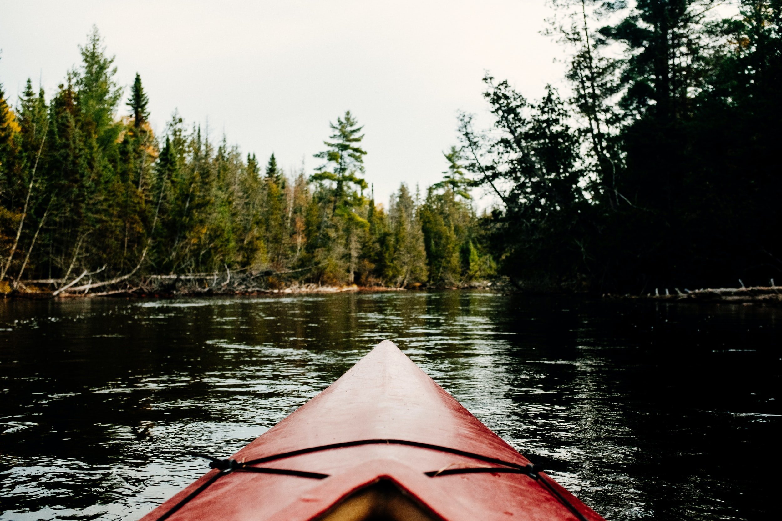 unsplash-image-GPESc8UklZU.jpg