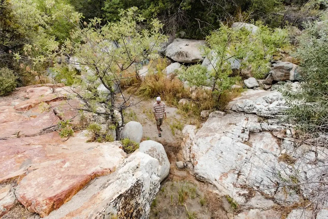 spirit walk guy walking.jpeg