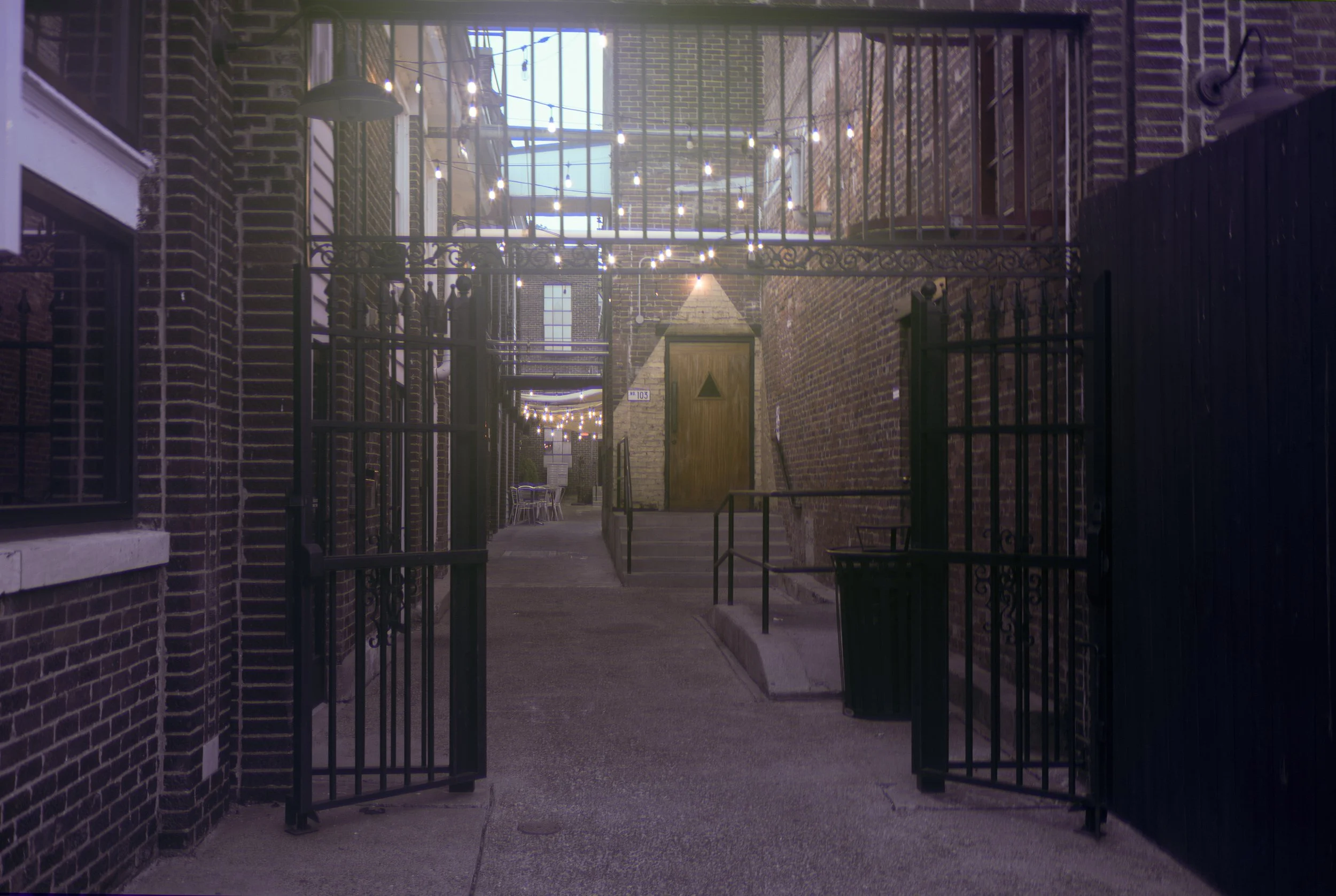 trichrome-20260904.jpg
