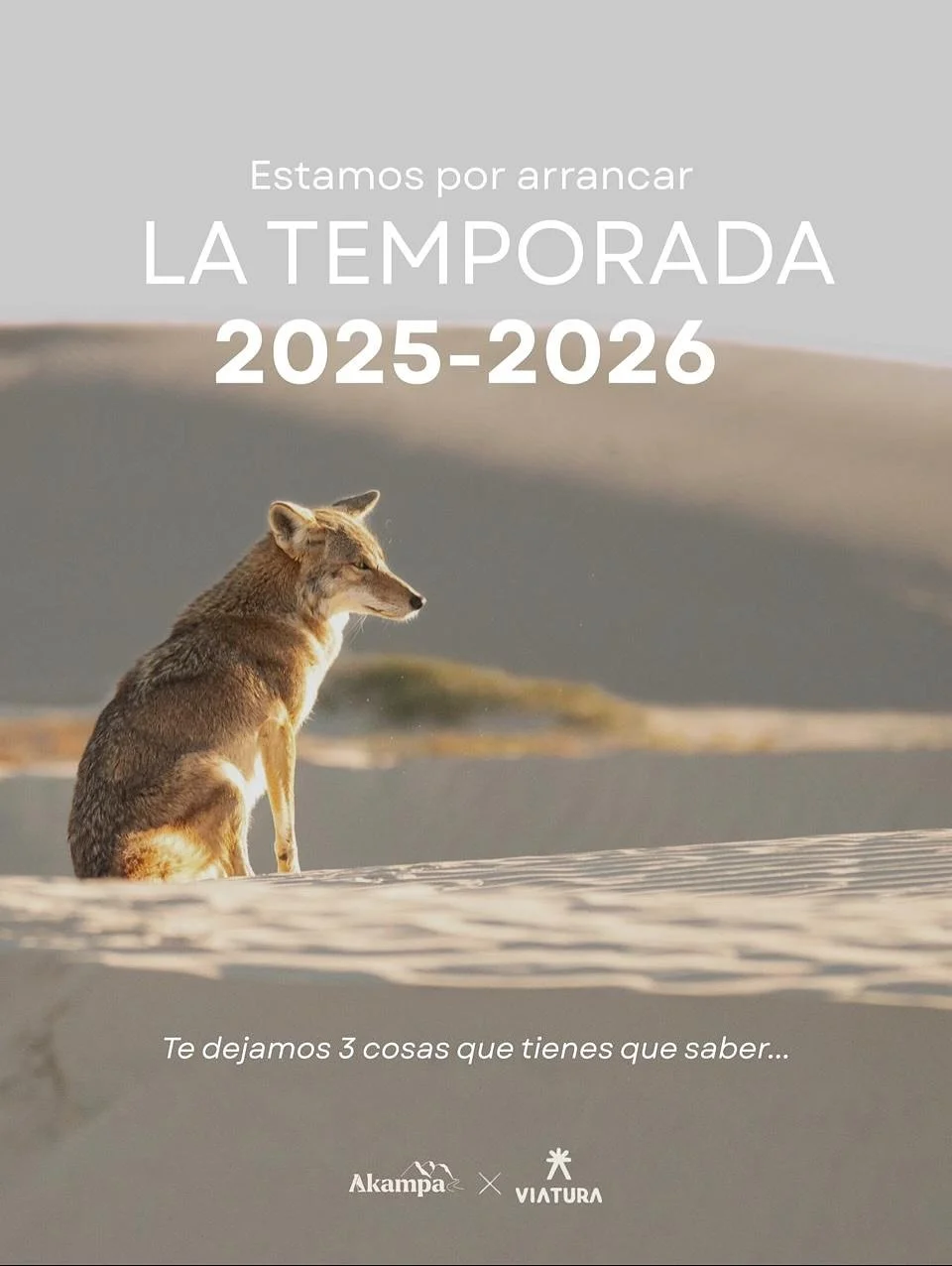 &iexcl;La temporada 2025-2026 comienza!

🐋Expediciones: 
Sardine Run: octubre a diciembre.
Ballena Jorobada: diciembre a enero
Ballena Gris: enero a abril

&iexcl;Recuerda que la temporada es muy corta y quedan pocos lugares!

🔗 Visita ahora akampa