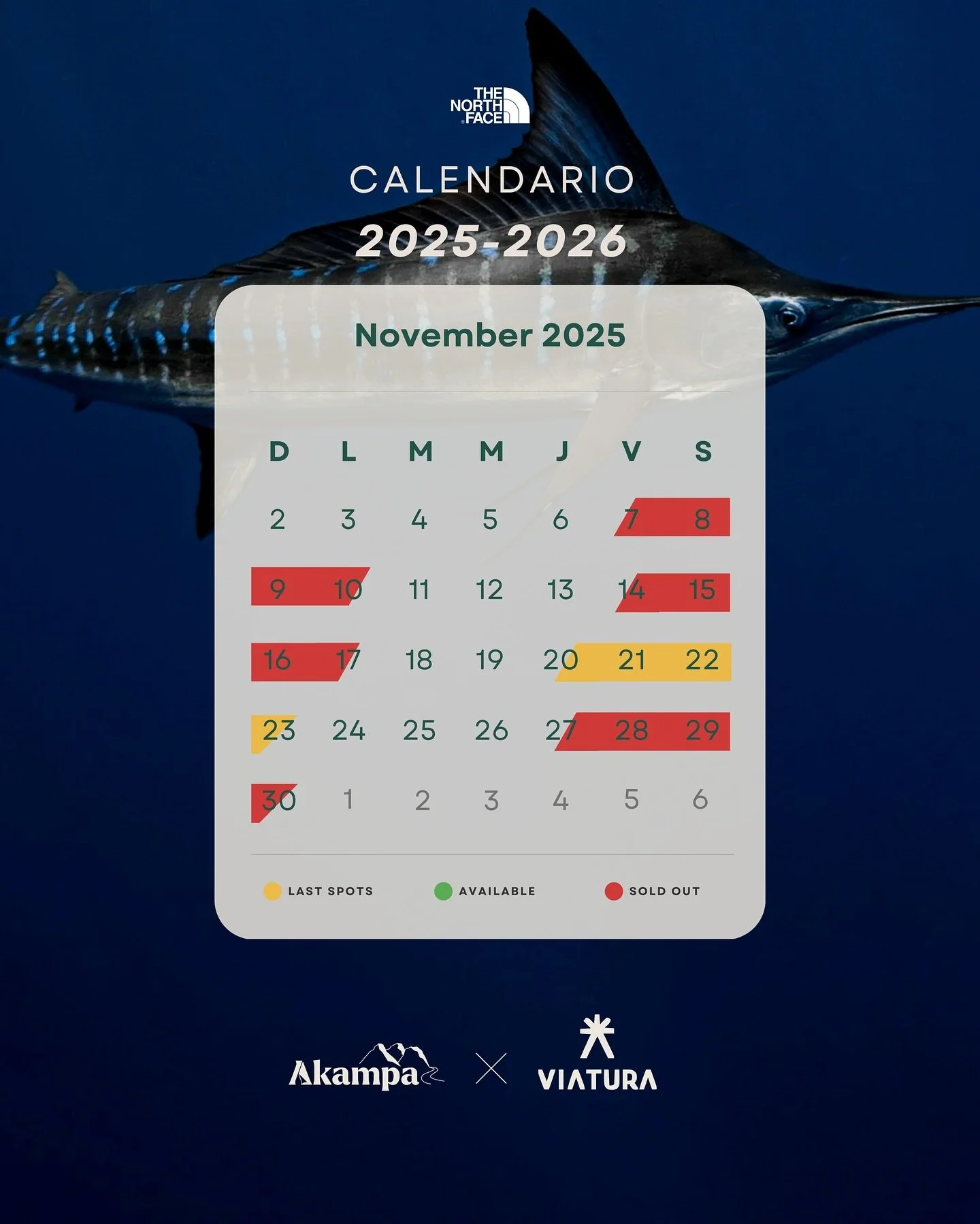 &iexcl;Te dejamos el calendario actualizado 2025&ndash;2026 de @magbayoceancamp! No dejes pasar la temporada para vivir la experiencia 🌊

&iexcl;&iexcl;Recuerda que tambi&eacute;n puedes reservar entre semana!!

Asegura tu lugar y entra a akampa.mx
