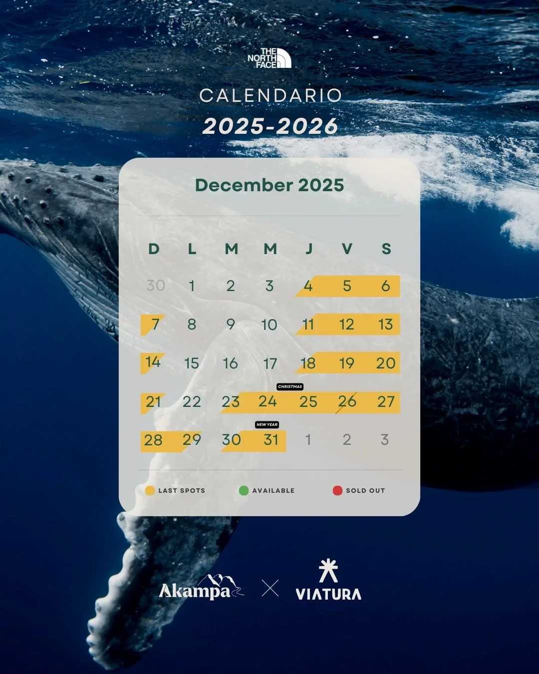&iexcl;Te dejamos el calendario actualizado 2025&ndash;2026 de @magbayoceancamp! No dejes pasar la temporada para vivir la experiencia 🌊

&iexcl;&iexcl;Recuerda que tambi&eacute;n puedes reservar entre semana!!

Asegura tu lugar y entra a akampa.mx
