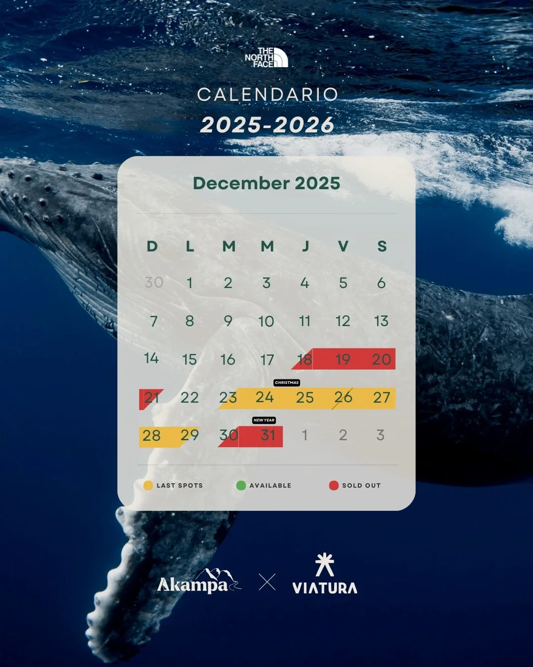 &iexcl;Te dejamos el calendario actualizado 2025&ndash;2026 de @magbayoceancamp! No dejes pasar la temporada para vivir la experiencia 🌊

&iexcl;&iexcl;Recuerda que tambi&eacute;n puedes reservar entre semana!!

Asegura tu lugar y entra a akampa.mx
