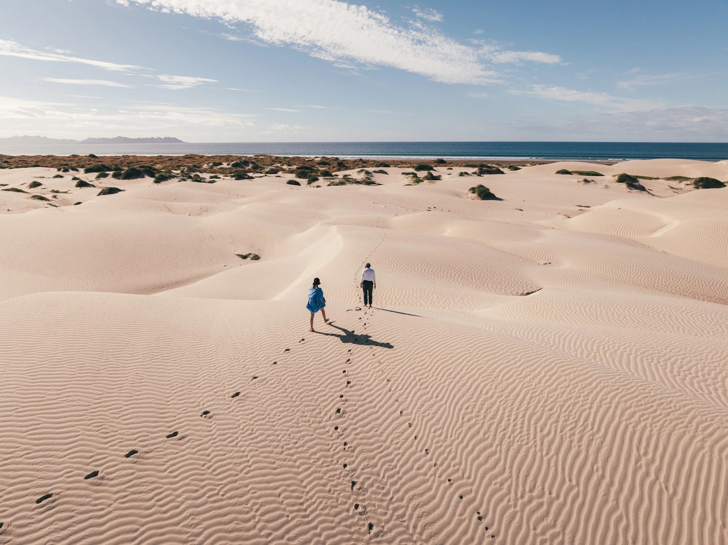 Bahía Magdalena: Ocean Safari