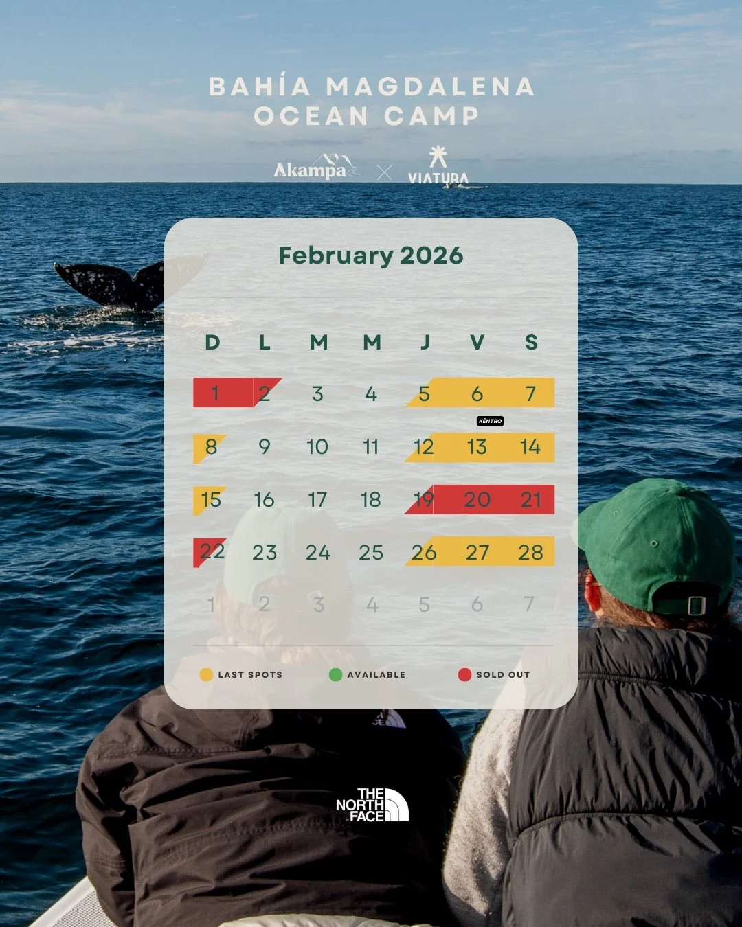 &iexcl;Te dejamos el calendario actualizado 2025&ndash;2026 de @magbayoceancamp! No dejes pasar la temporada para vivir la experiencia 🌊

&iexcl;&iexcl;Recuerda que tambi&eacute;n puedes reservar entre semana!!

Asegura tu lugar y entra a akampa.mx
