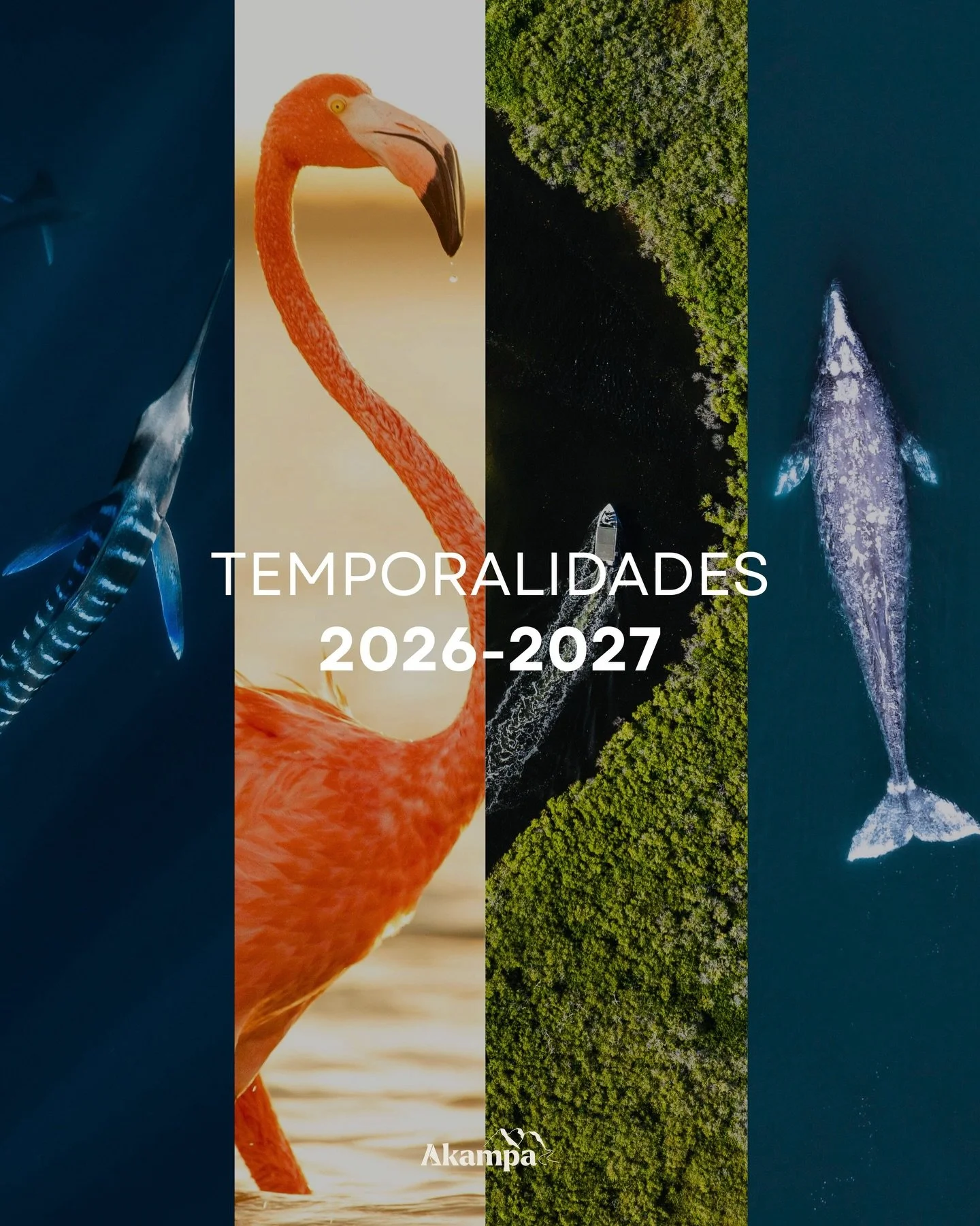 Descubre las temporalidades de Akampa 2026-2027 y elige el momento ideal para planear tu siguiente viaje. Cada experiencia est&aacute; dise&ntilde;ada para conectar con la naturaleza de forma aut&eacute;ntica, mientras apoyamos a las comunidades loca