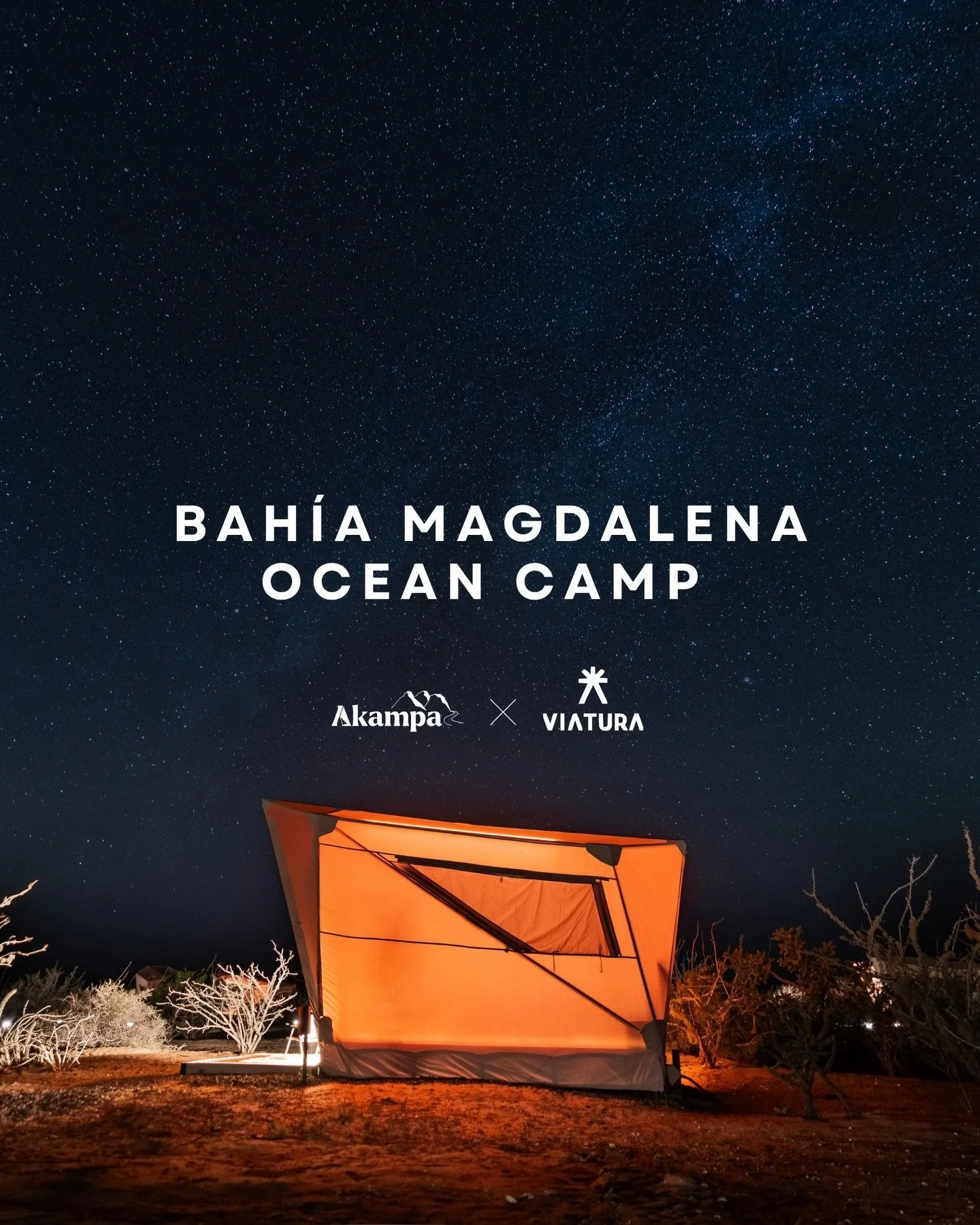 Bahía Magdalena Ocean Camp

Four days, three nights, and a unique encounter with one of the Pacific’s most vibrant ecosystems. With @viaturamx as your guide, each season offers a different spectacle: humpback whales…