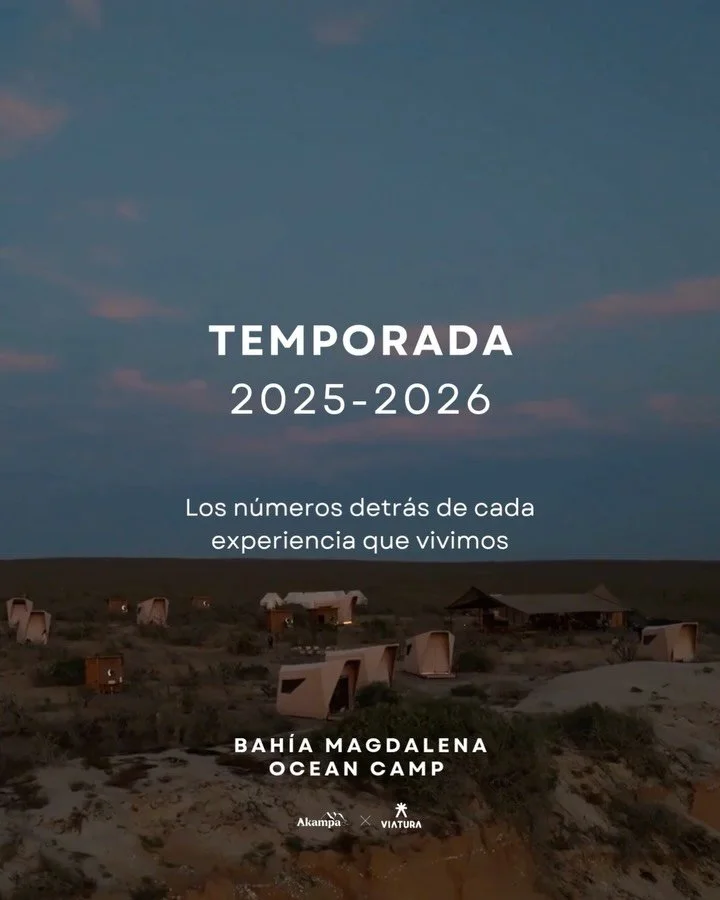 La temporada 2025&ndash;2026 lleg&oacute; a su fin, y estos son los n&uacute;meros detr&aacute;s de cada experiencia que vivimos en estos meses.

Sin duda, fue una temporada llena de vivencias inolvidables y conexiones para toda la vida.

Si fuiste p