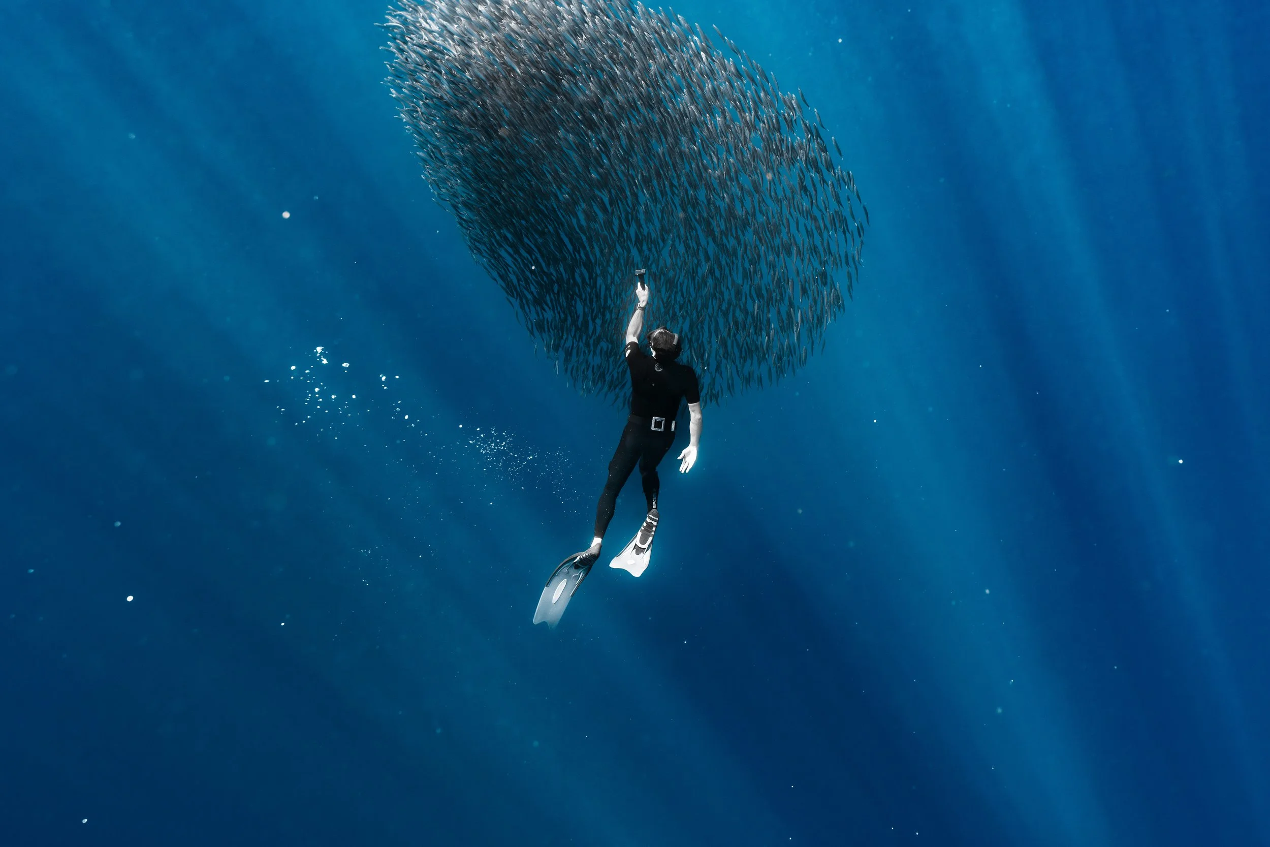 Wealth Mastery: Marlin Run