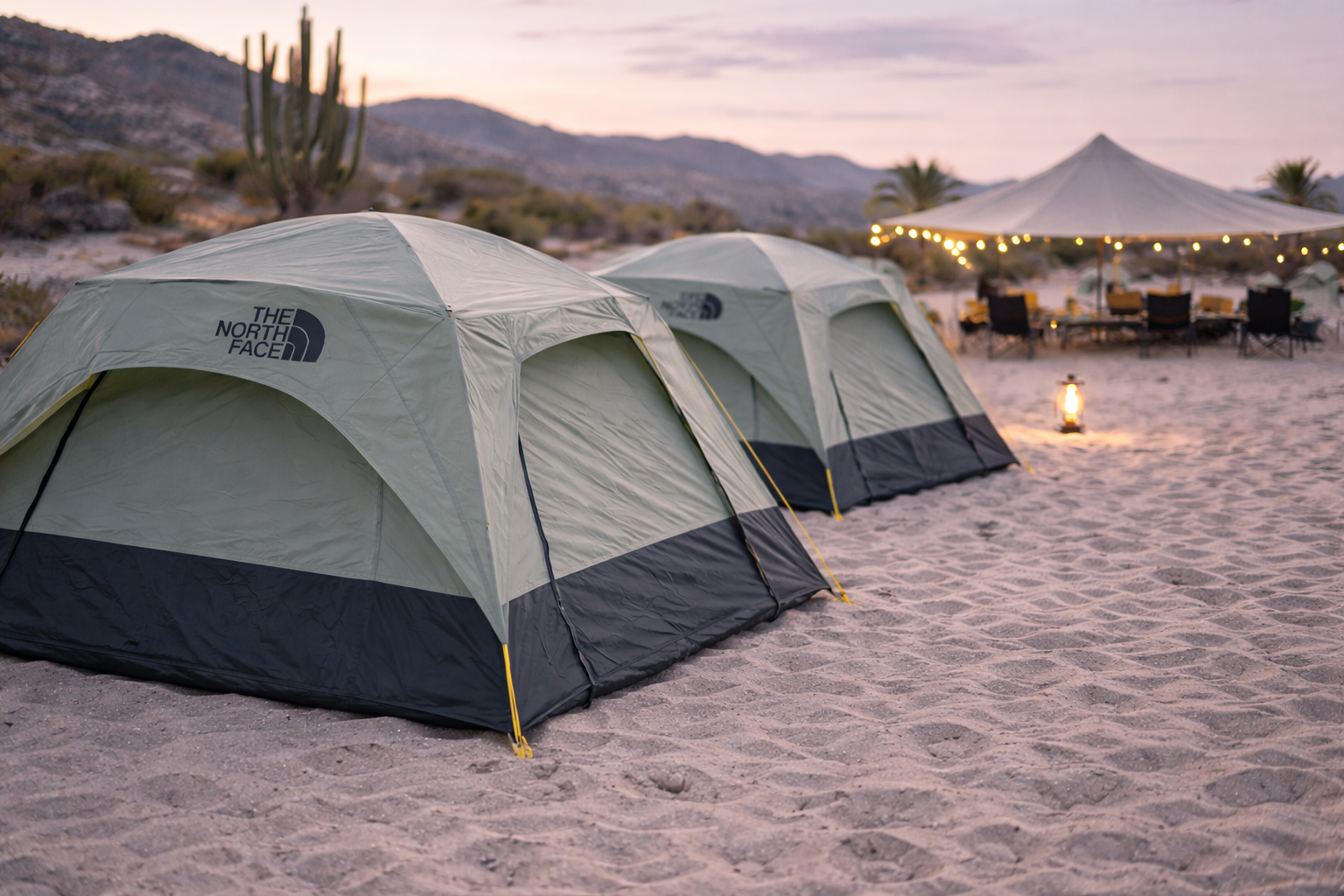 ChatGPT Image February 25, 2026, 6:19:22 AM.png