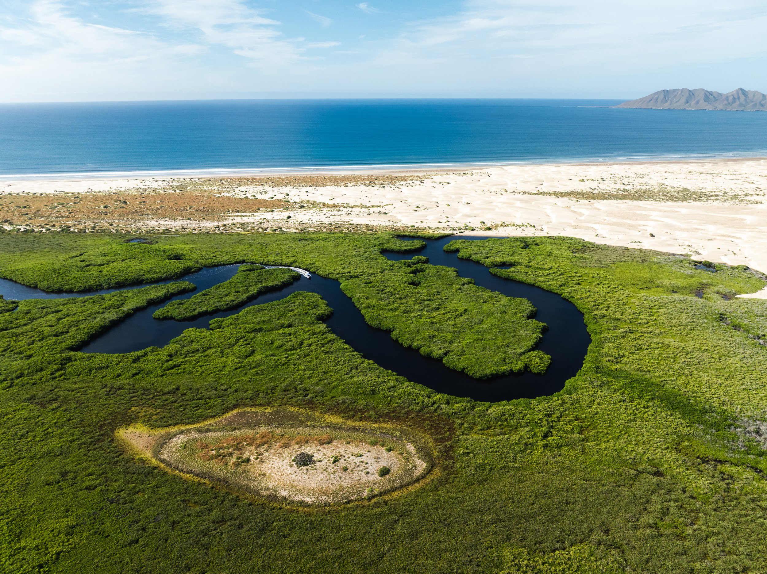 Dunas y manglares de Bahía Magdalena. Foto por Pablosky