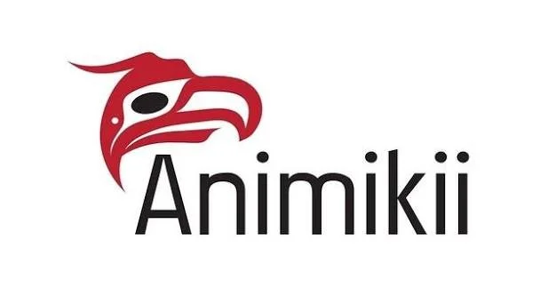 animikii.jpeg