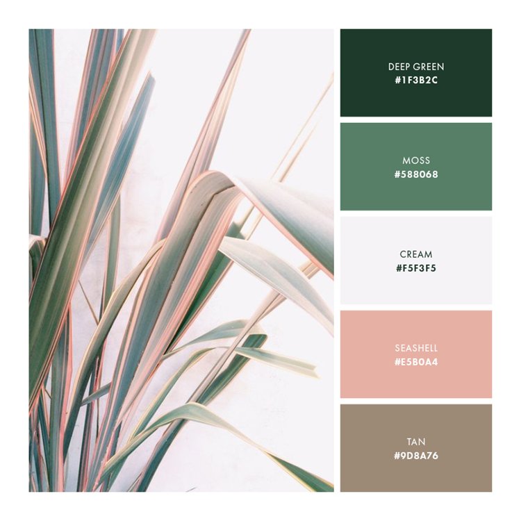 Palette 2 // Soft and Natural